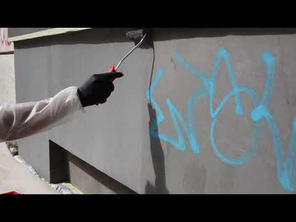 Peinture de base / peinture de façade 5L | Noir 